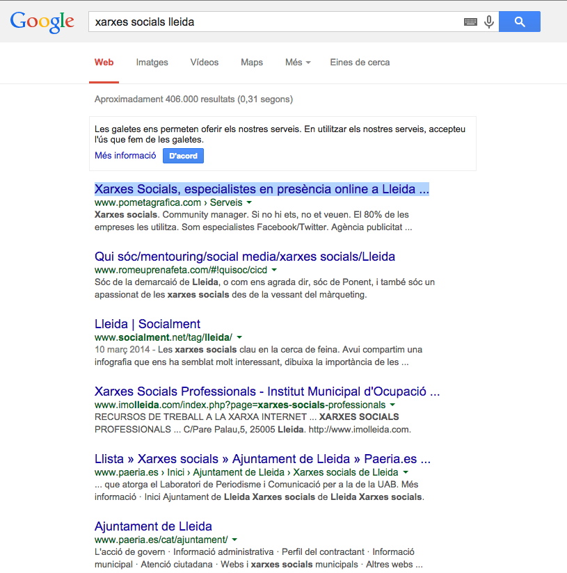 posicionamiento web lleida pometa grafica google
